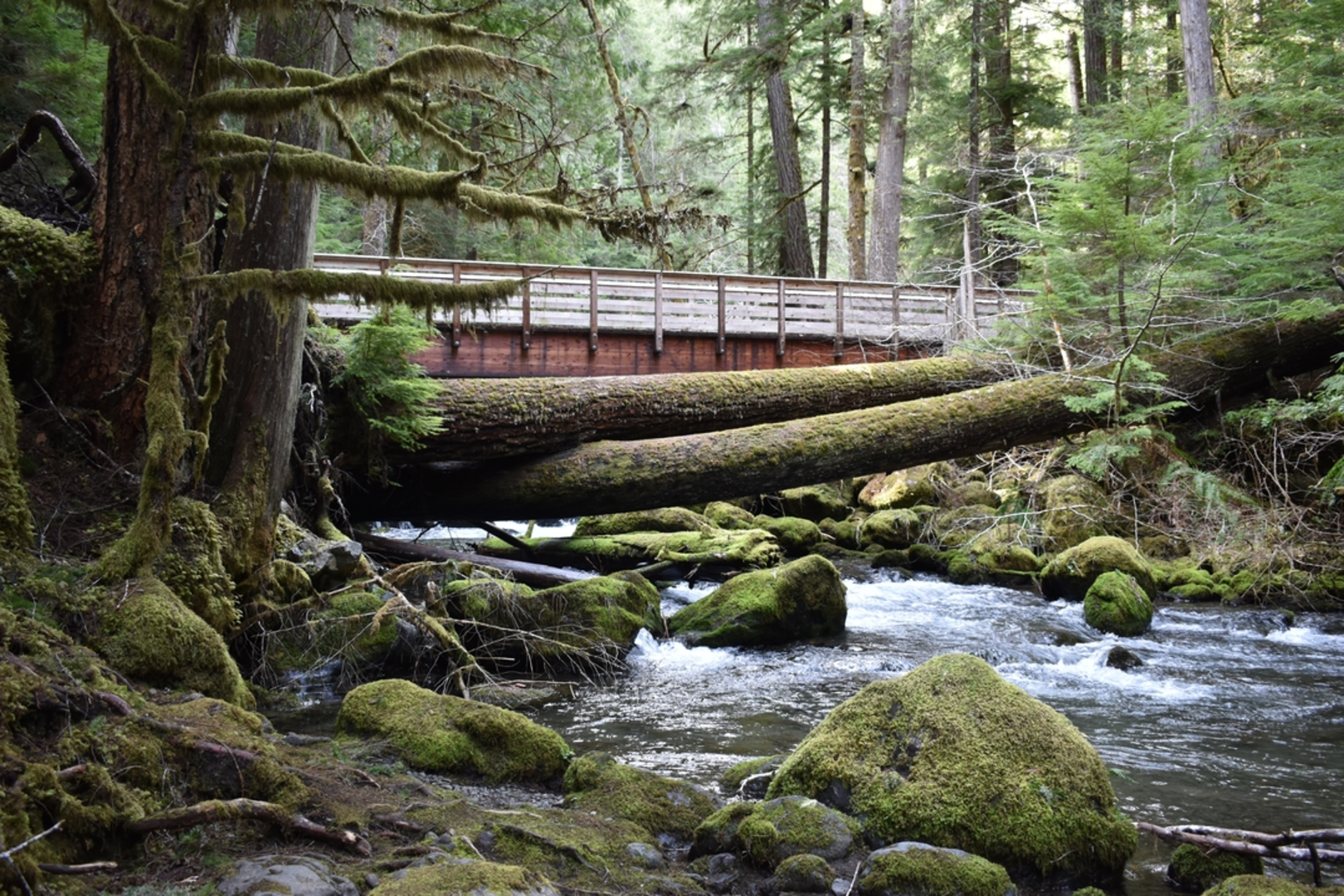 An image depicting the trail Notch Pass Trail and its surrounding area.