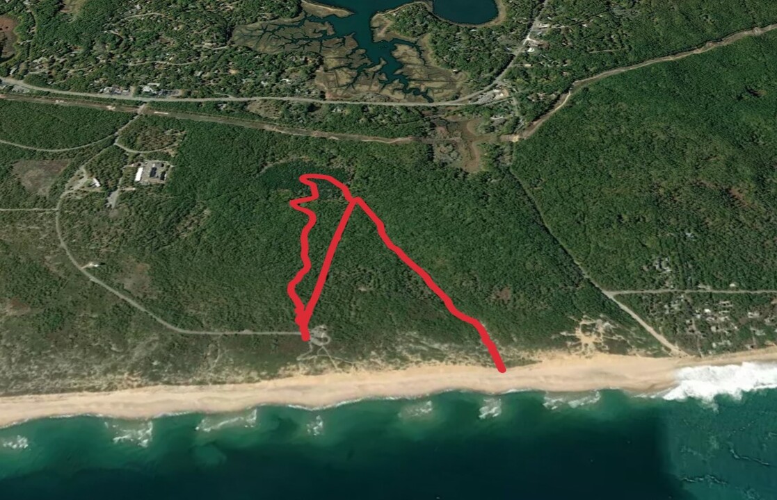 Atlantic White Cedar Swamp Trail - Marconi Station Road