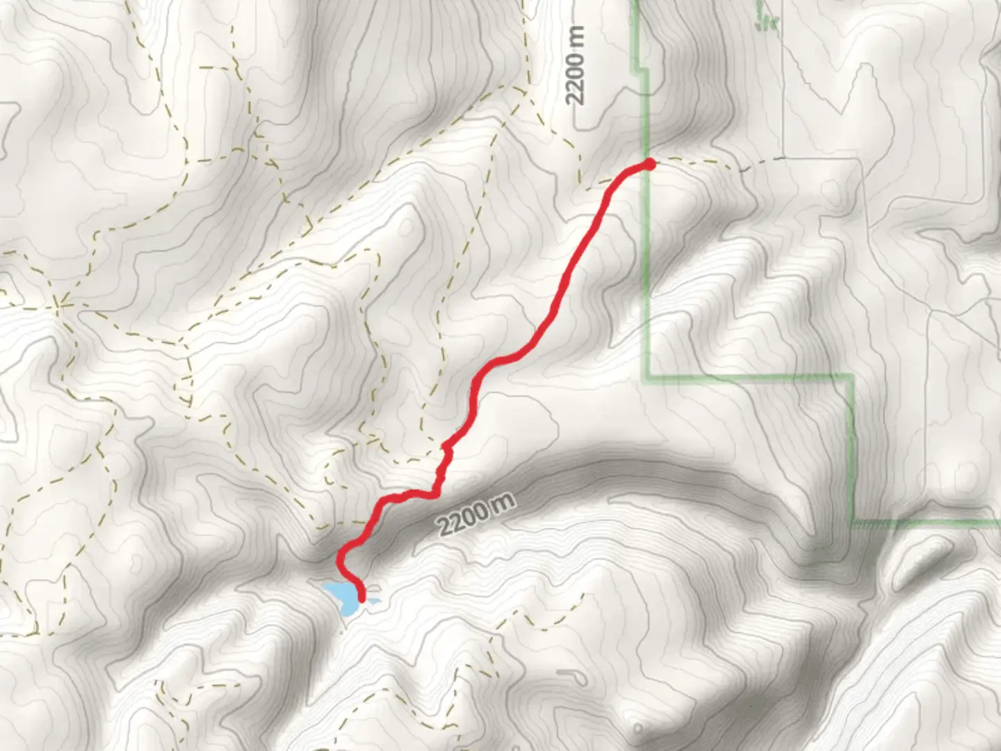 An image depicting the trail Packsaddle Lake and its surrounding area.