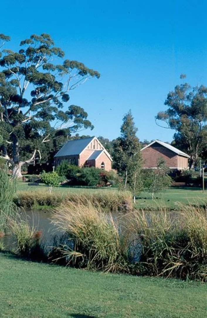 An image depicting the trail Rediscover Armadale’s Heritage Trees Trail and its surrounding area.
