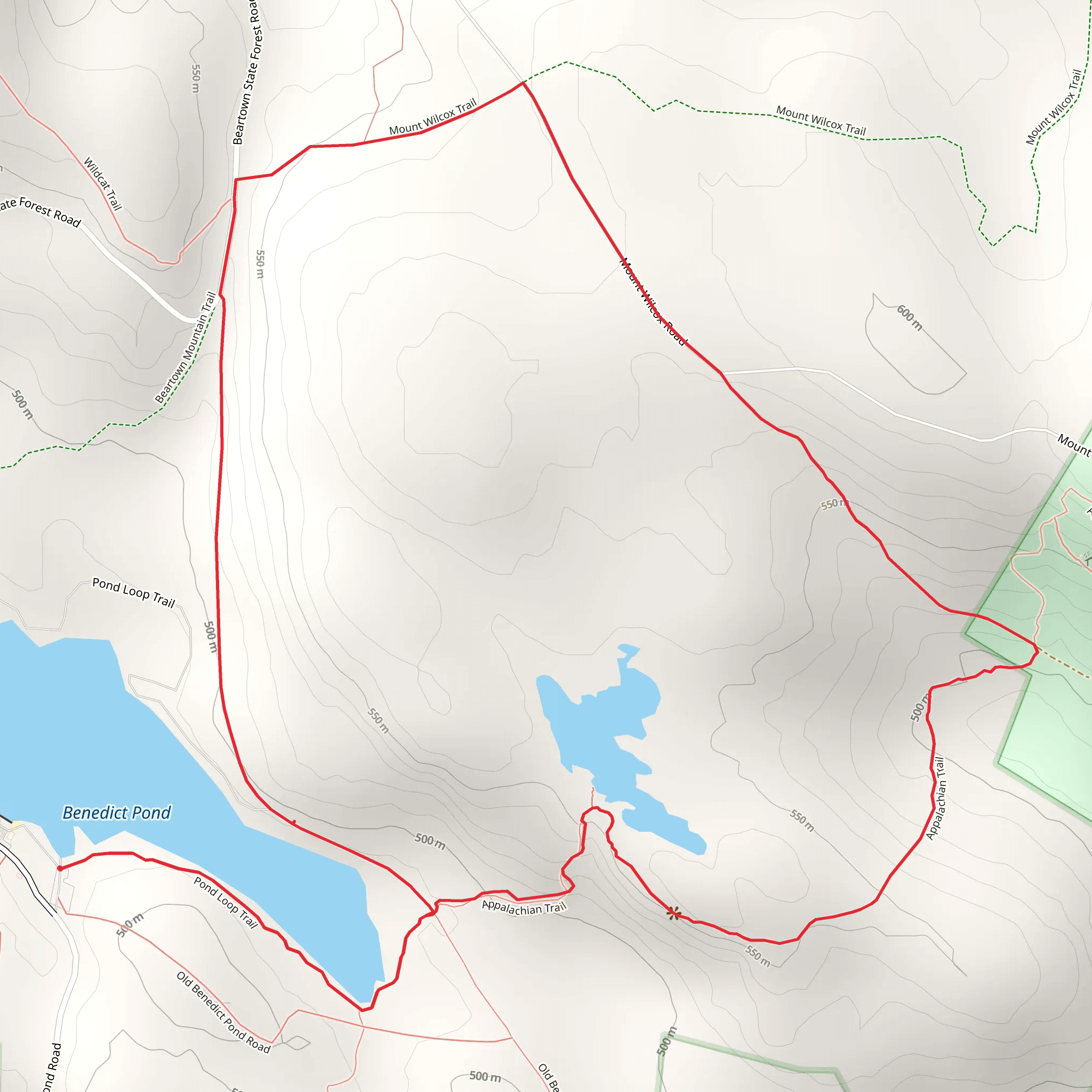 Benedict Pond and Mount Wilcox Road Loop Trail mobile static map