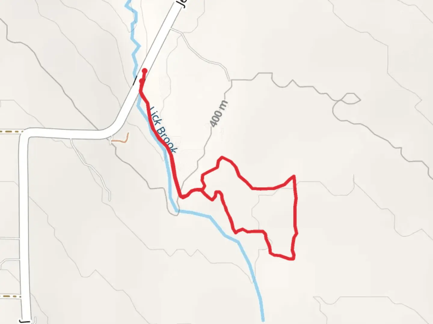 An image depicting the trail Lick Brook Loop and its surrounding area.