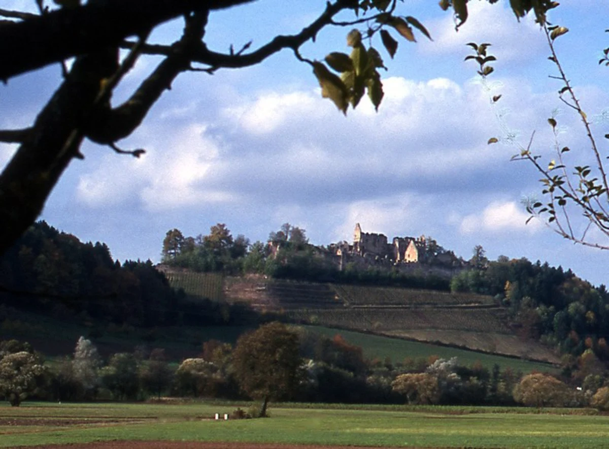 Trierer, Genoveva Hohle, Klausenhohle and Pfalzeler Wald Loop