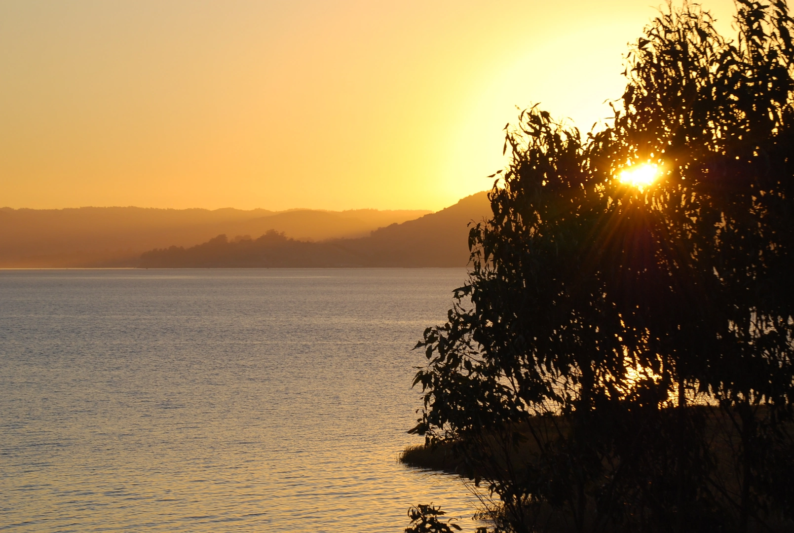 An image depicting the trail Cook's Point Bay View Loop Trail and its surrounding area.