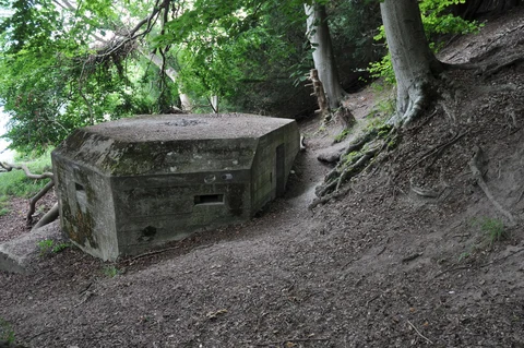 Pangbourne to Woodcote Loop via Great Chalk Wood