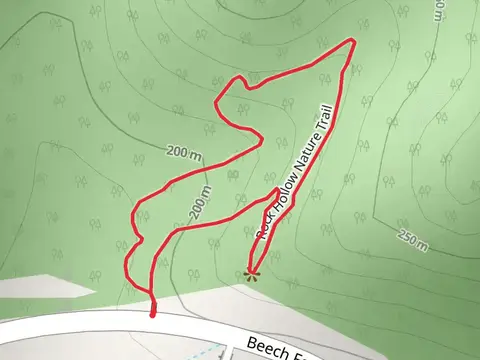 Rock Hollow Nature Loop Trail