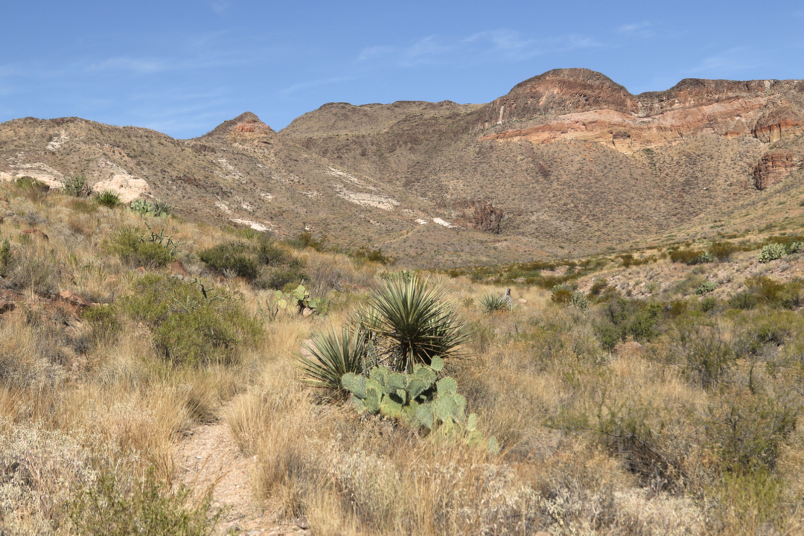 An image depicting the trail Burro Spring Trail and its surrounding area.