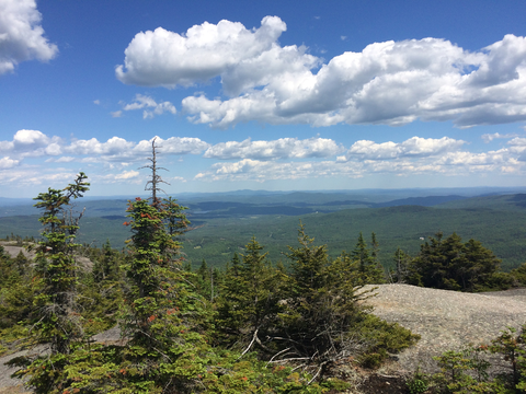 An image depicting the trail Wilderness Trail via Eastside Trail and its surrounding area.