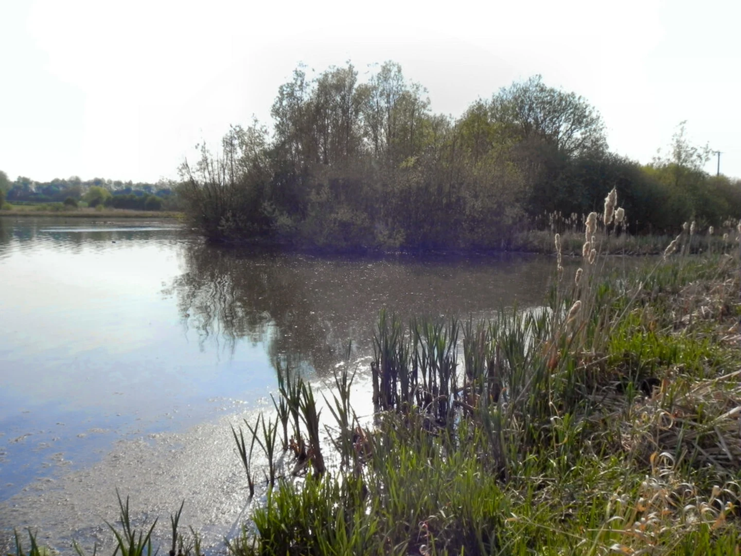 An image depicting the trail Pennington Flash Nature Reserve Loop and its surrounding area.