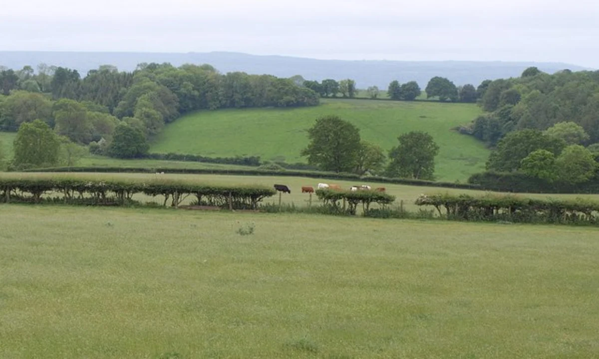Cleeve Toot and King's Wood Loop