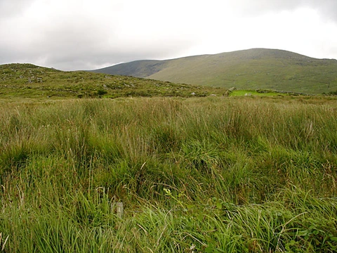 An image depicting the trail Macklaun and Drung Hill Loop and its surrounding area.