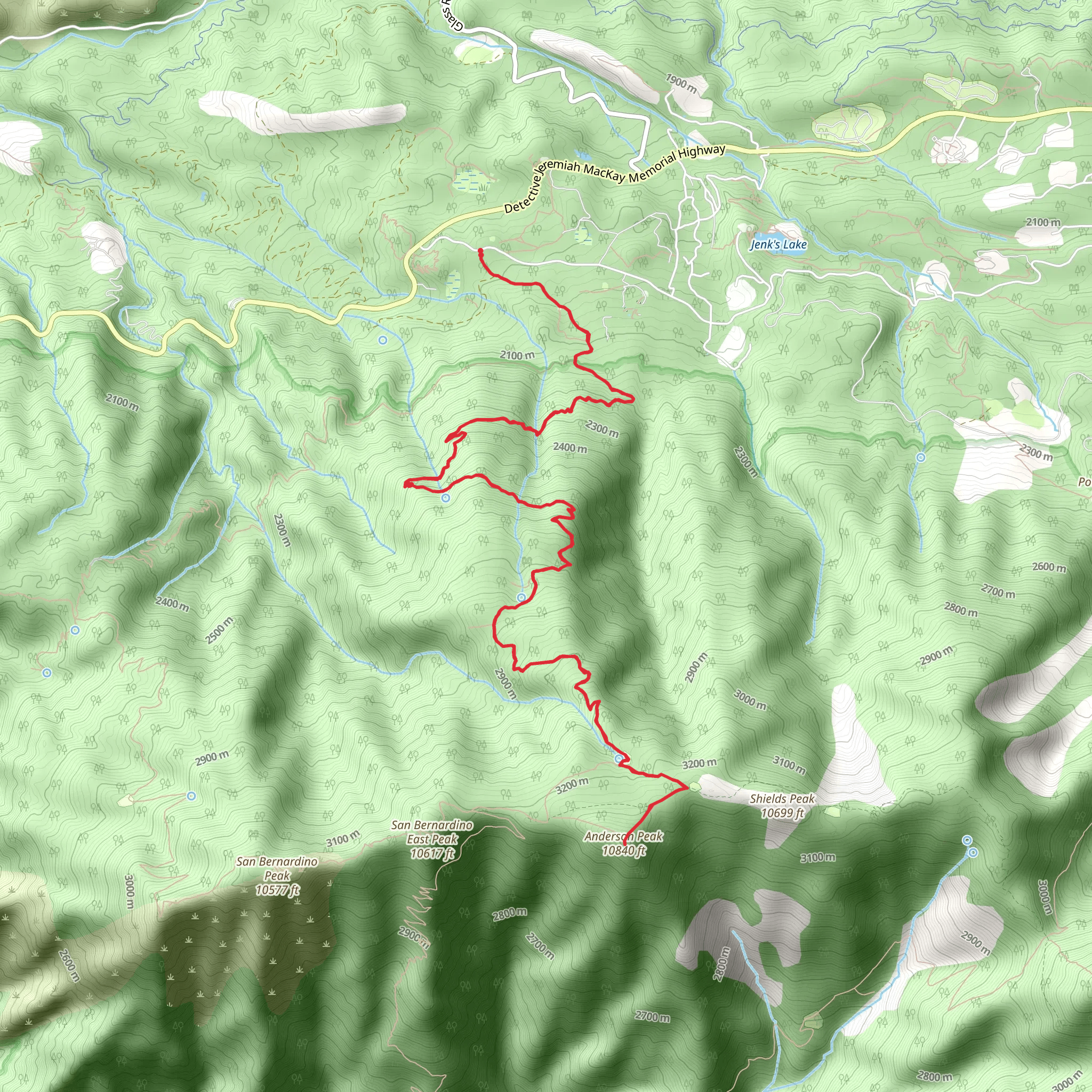 Anderson Peak via Forsee Creek Trail mobile static map
