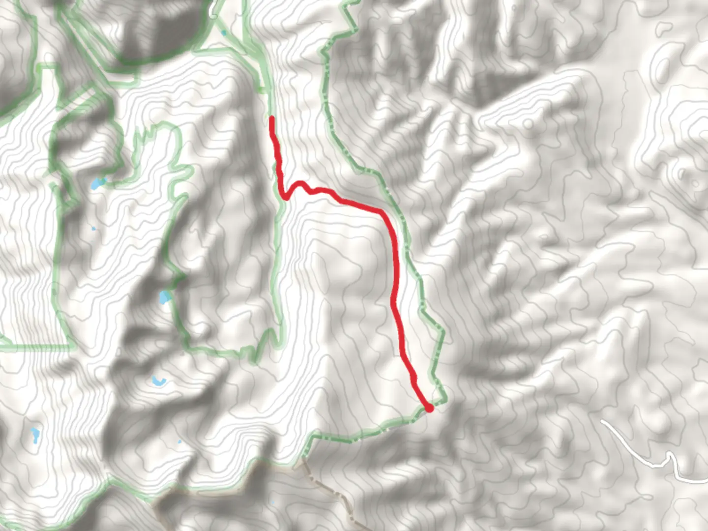 An image depicting the trail Sawmill Park Trail and East Fork Trail and its surrounding area.