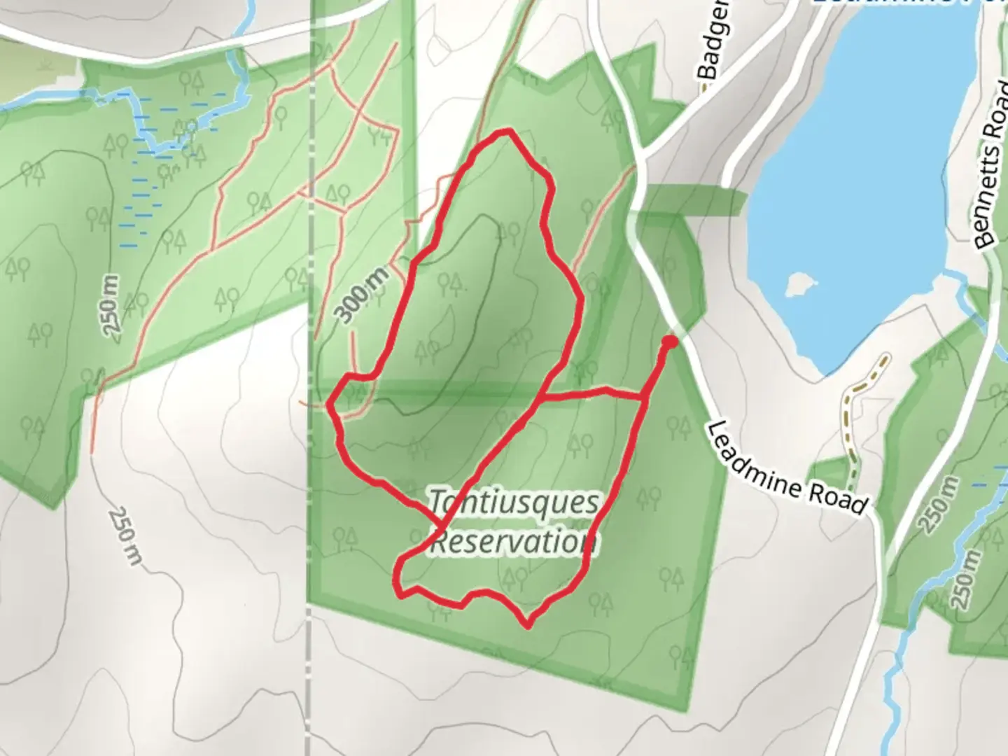 An image depicting the trail Lead Mine Pond South Loop and its surrounding area.
