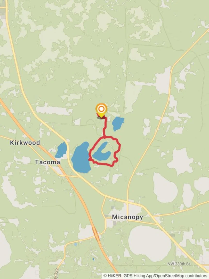 An image depicting the trail Wacahoota Trail and Sawgrass Pond Loop and its surrounding area.