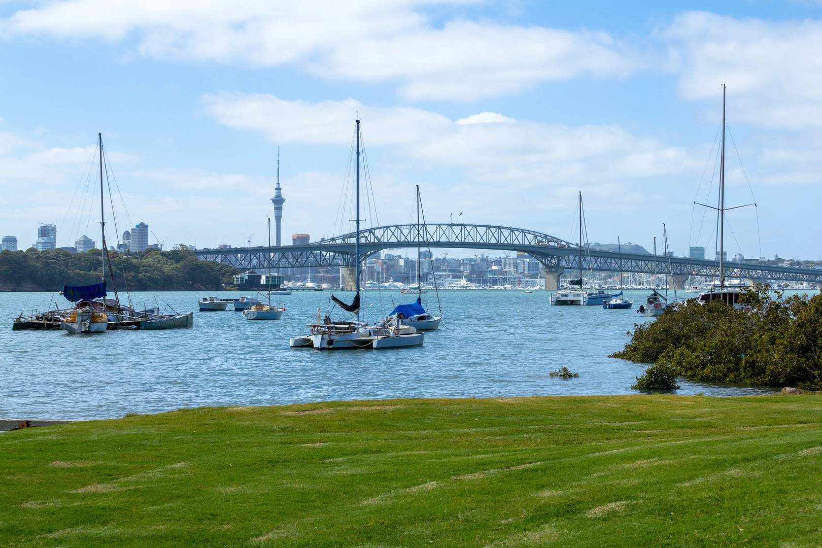 An image depicting the trail Le Roys Bush Reserve Walk and its surrounding area.