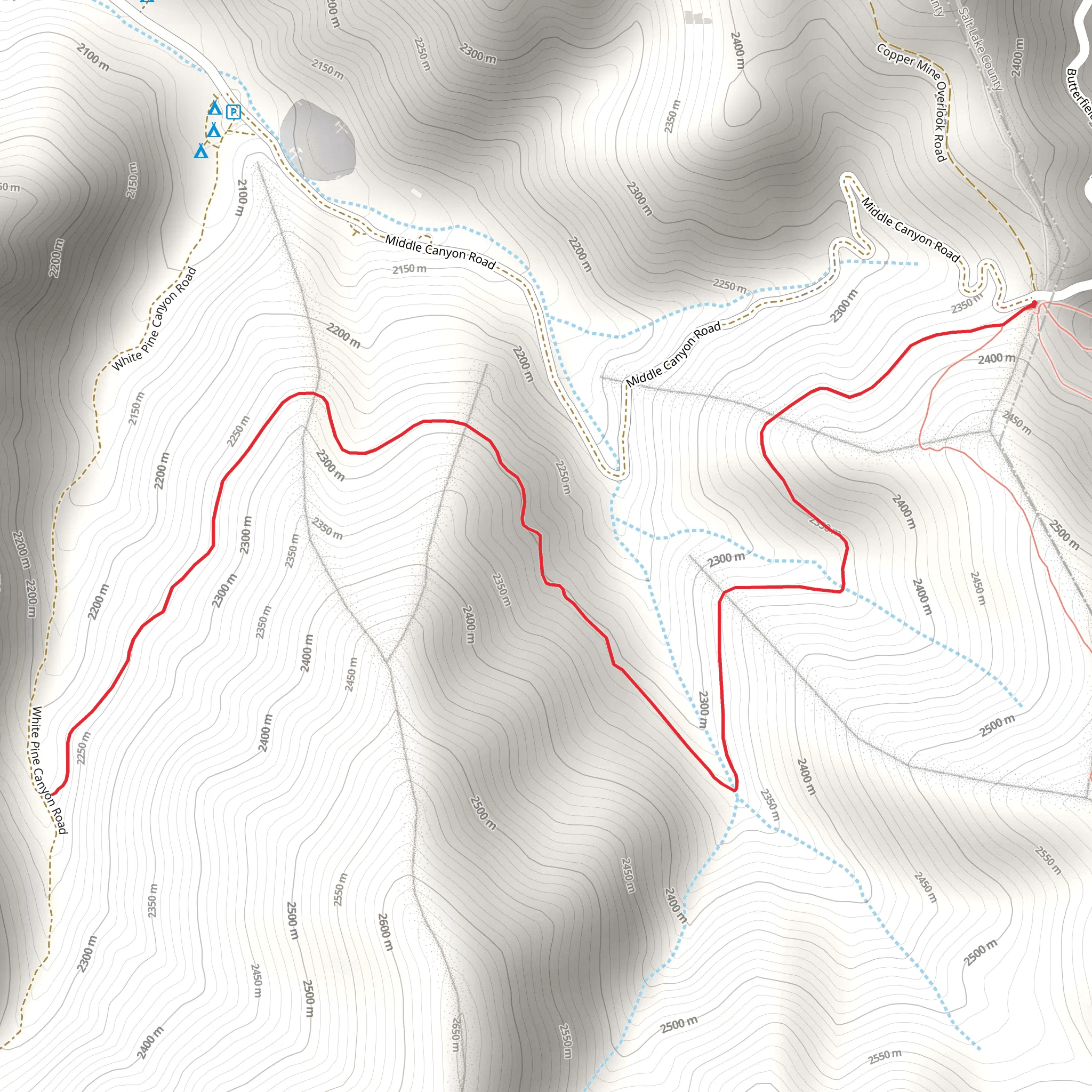 White Pine mobile static map