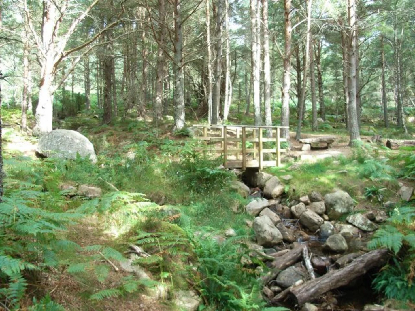 An image depicting the trail Queel Burn Lochside Loop Trail and its surrounding area.