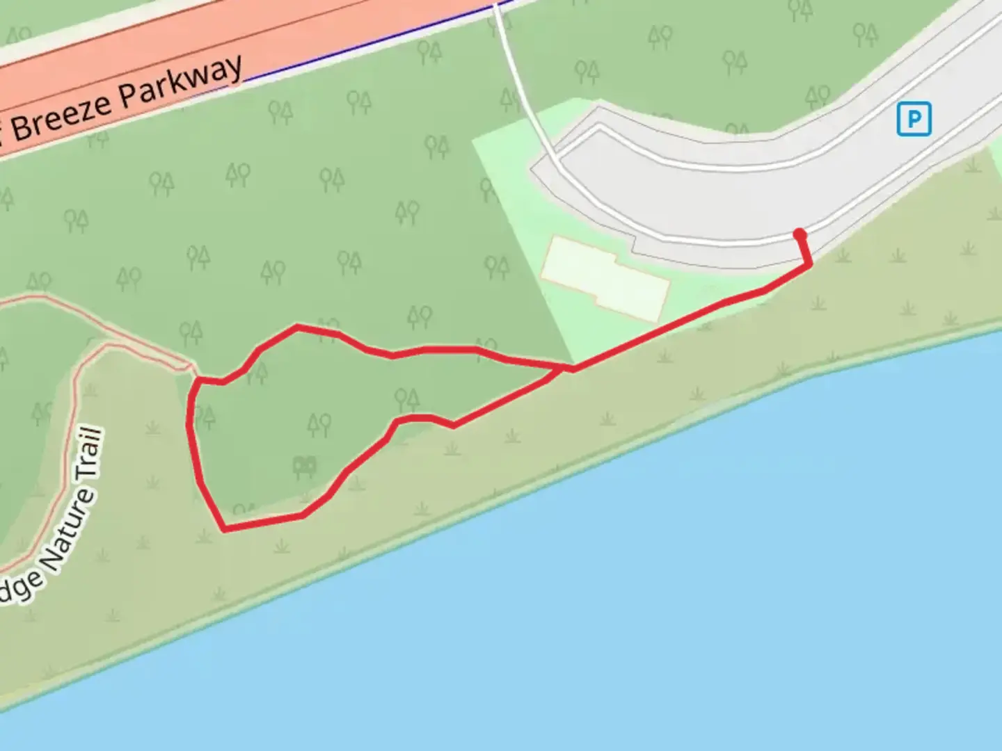An image depicting the trail Breckenridge Nature Loop Trail and its surrounding area.