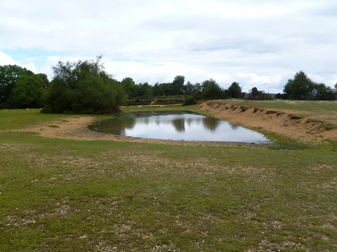 An image depicting the trail Frogham to Fritham Walk and its surrounding area.