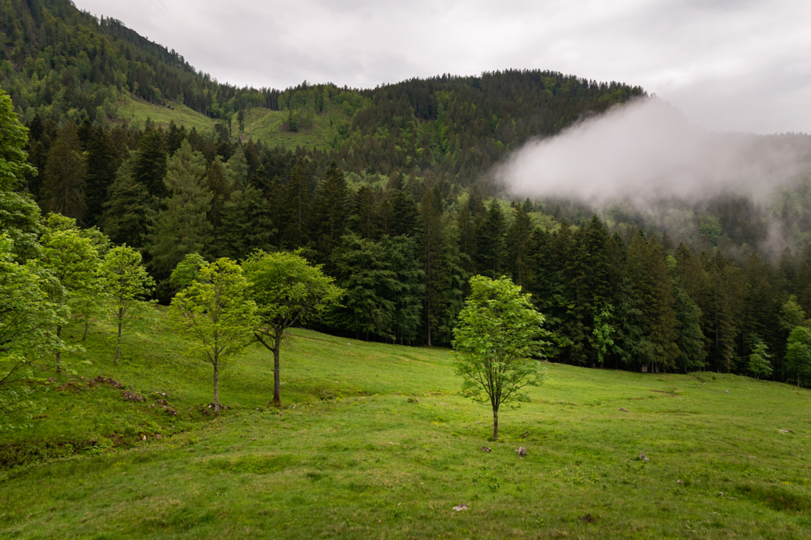 An image depicting the trail Spregaus - Wurbauerkogel and its surrounding area.