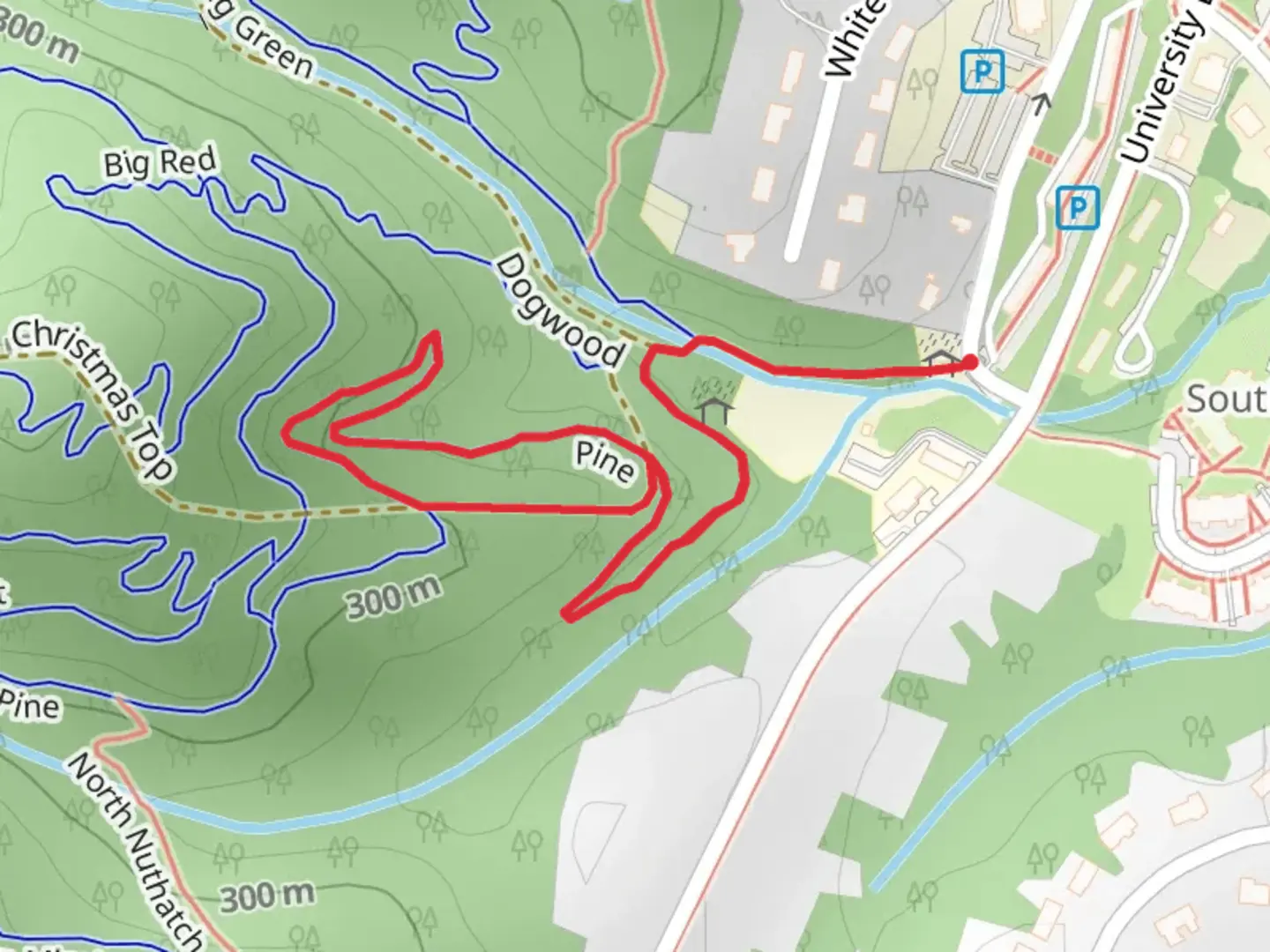 An image depicting the trail Pine and Dogwood Loop and its surrounding area.