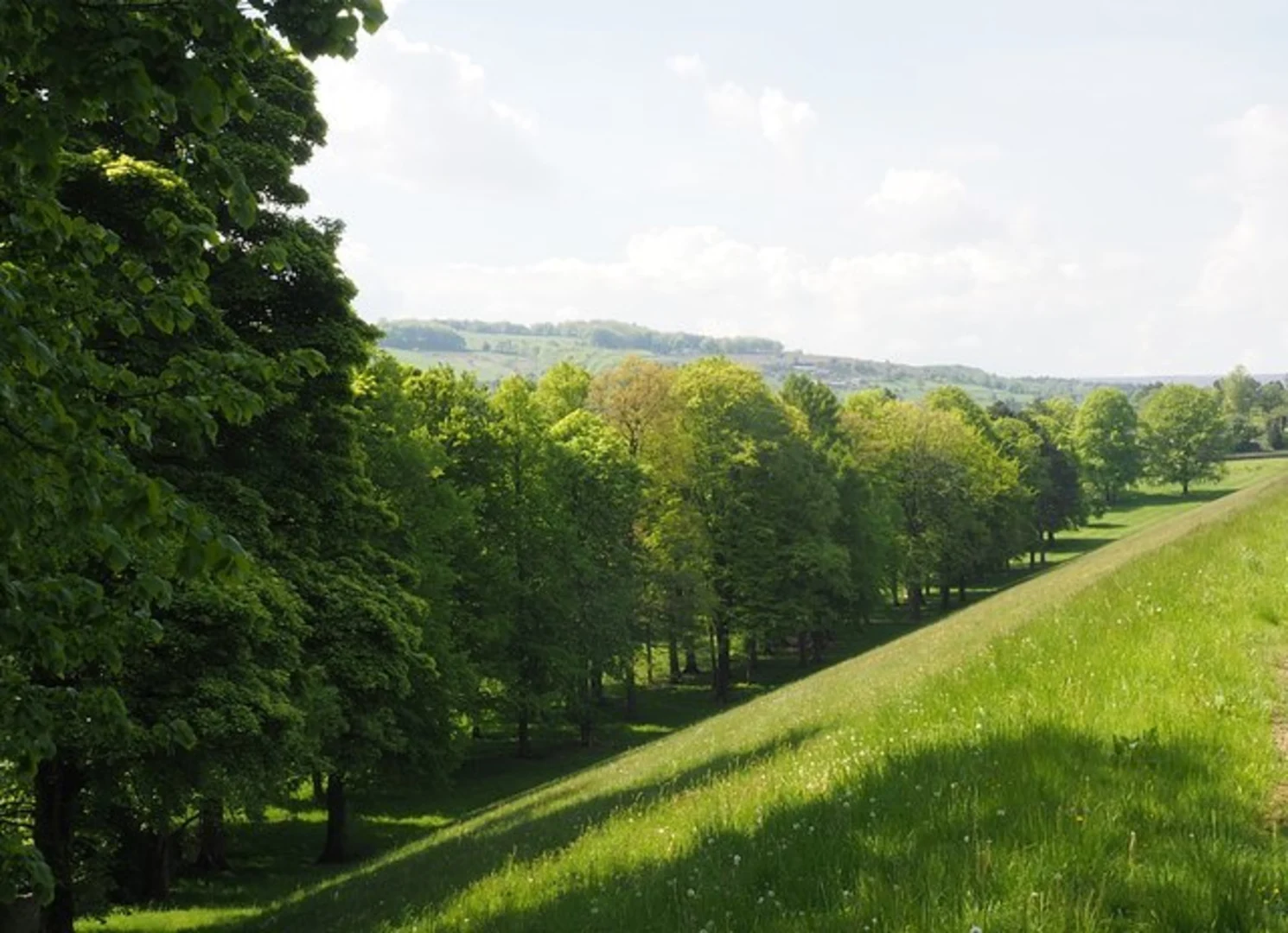 An image depicting the trail Dale Dike and Strines Reservoir Loop via Agden Reservoir and its surrounding area.