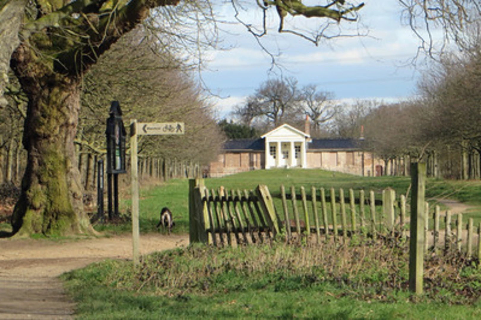 An image depicting the trail Wanstead Park and Ornamental Water Loop and its surrounding area.