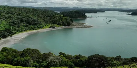 An image depicting the trail Scandrett Regional Park Walk and its surrounding area.