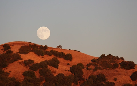 An image depicting the trail Canyon, Pony Gate and Bald Mountain Loop Trail and its surrounding area.