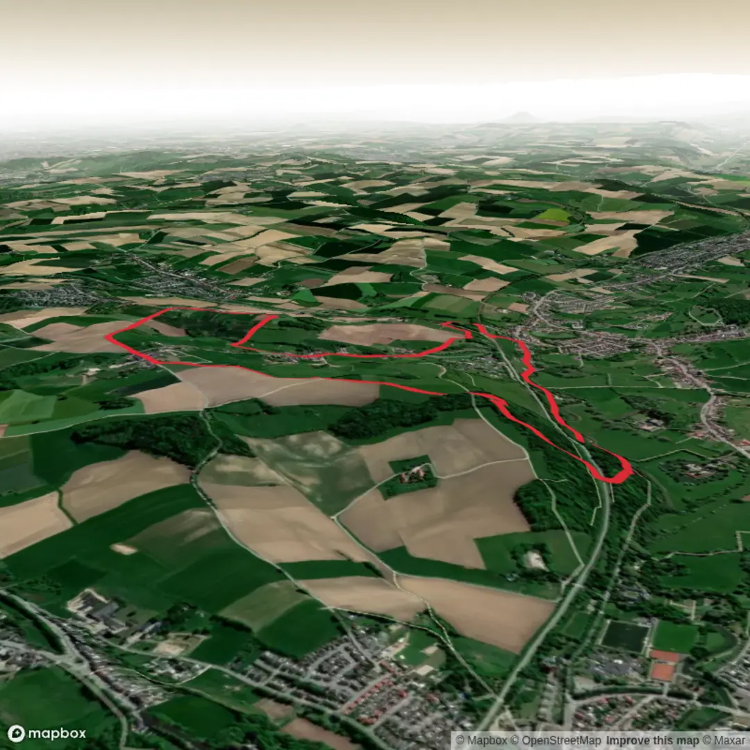 An image depicting the trail Oosterveelpad and Walermerkvoetpad Loop and its surrounding area.