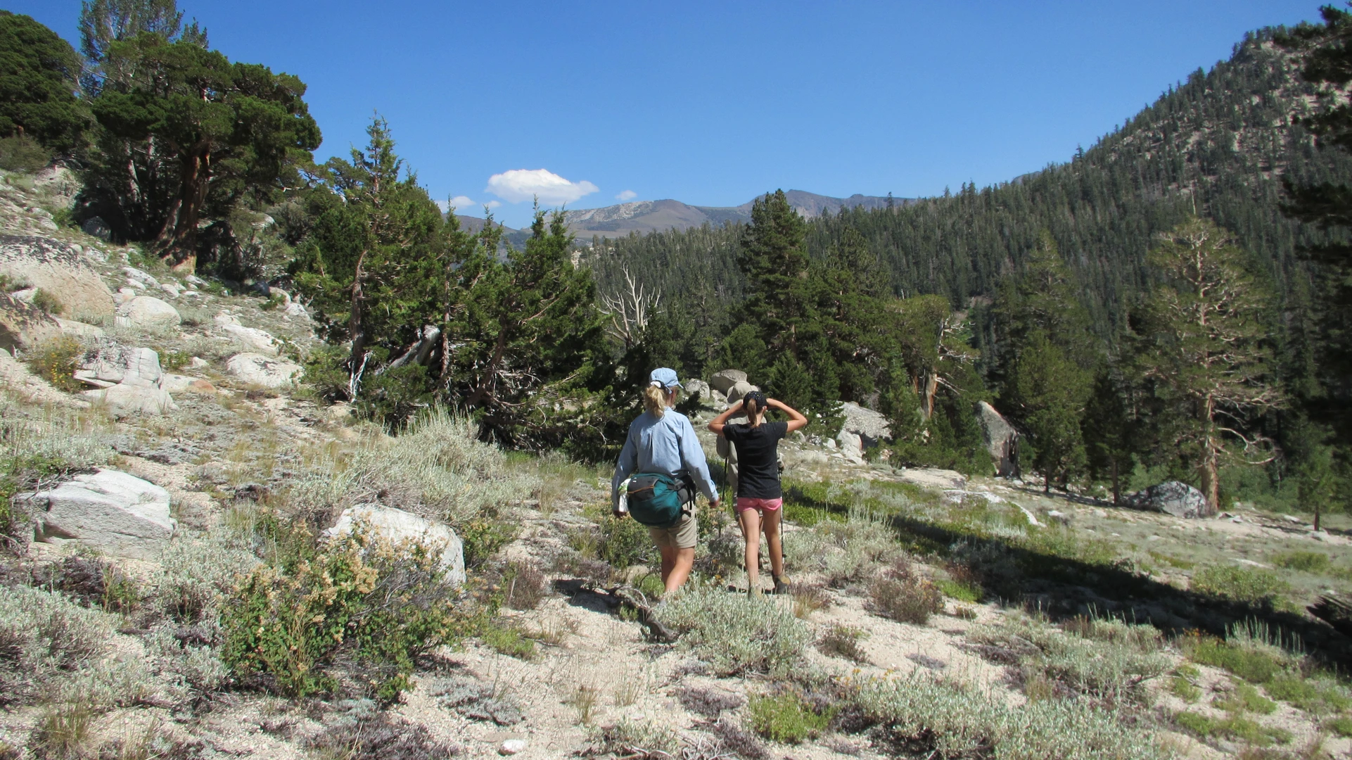 An image depicting the trail Paradise Valley Trail and Disaster Creek Loop Trail and its surrounding area.