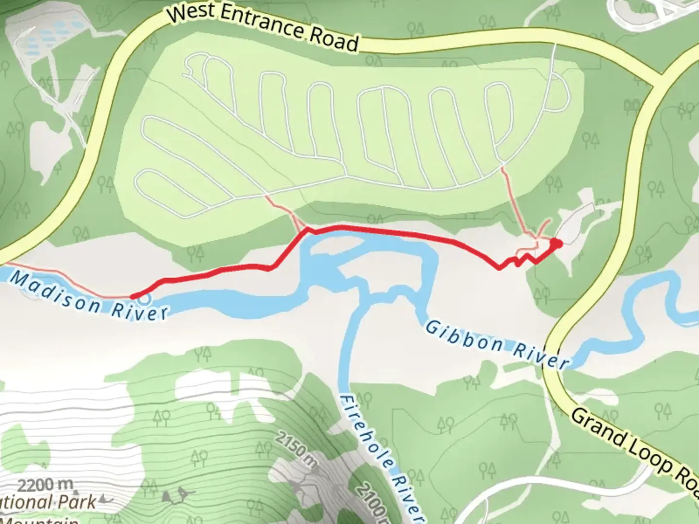 An image depicting the trail Madison River and Gibbon River and its surrounding area.