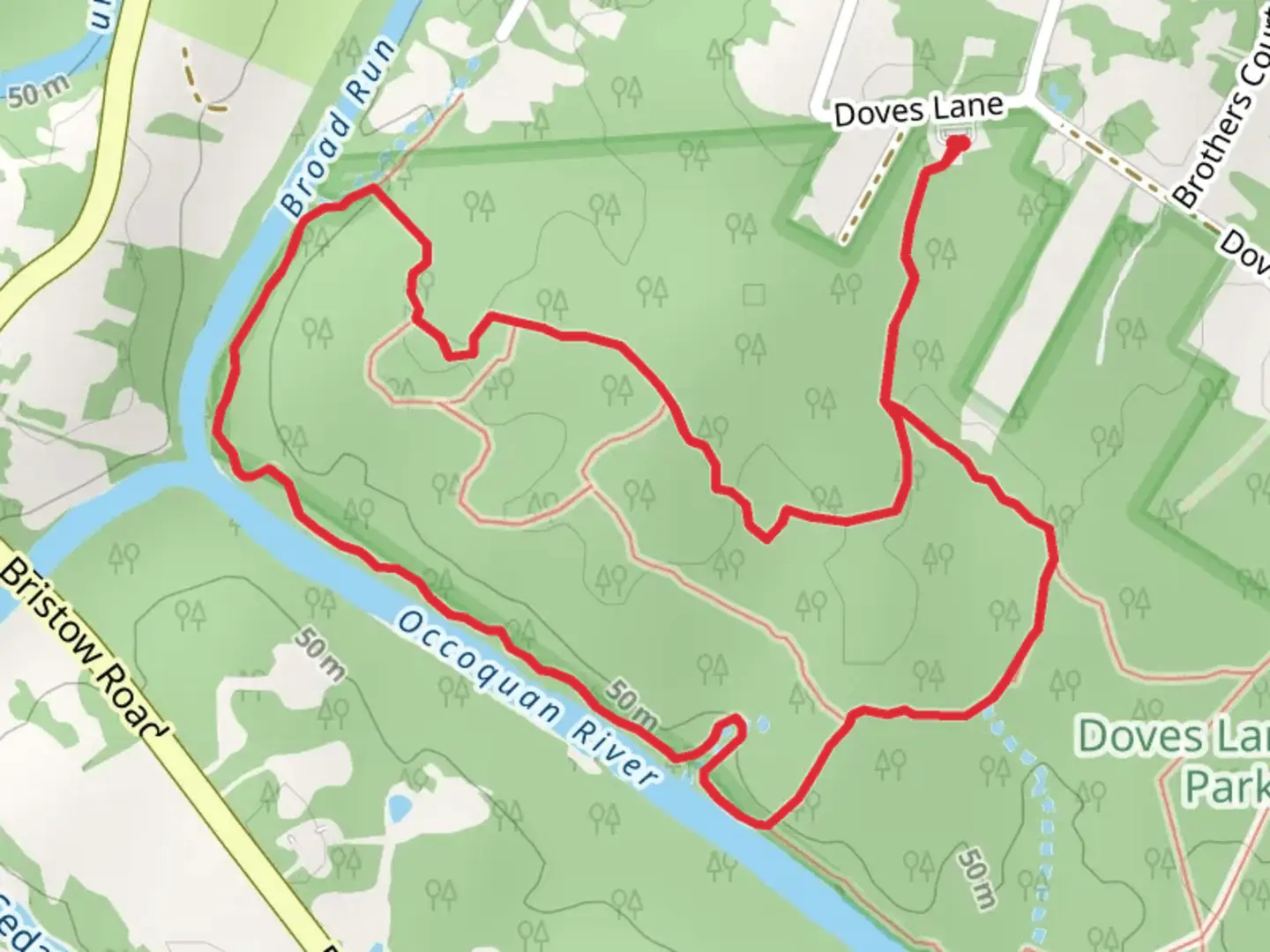 An image depicting the trail Doves Loop Trail and its surrounding area.