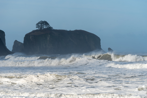 An image depicting the trail Beach 1 - Kalaloch Trail and its surrounding area.