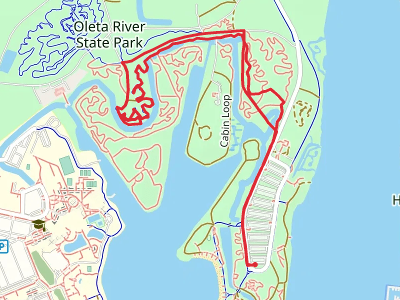 Twin Peak Stragler Fig Loop Trail