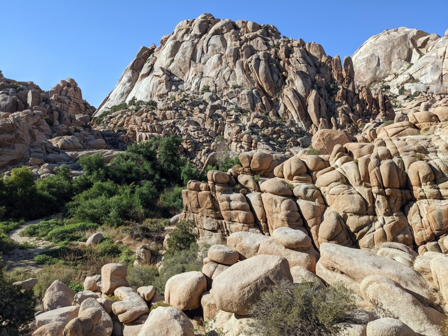 An image depicting the trail Willow Hole Trail and its surrounding area.