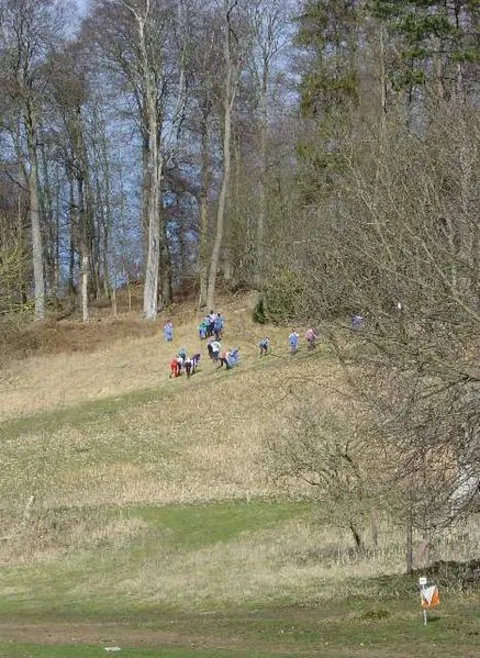 Great Wood Loop from Hambleden