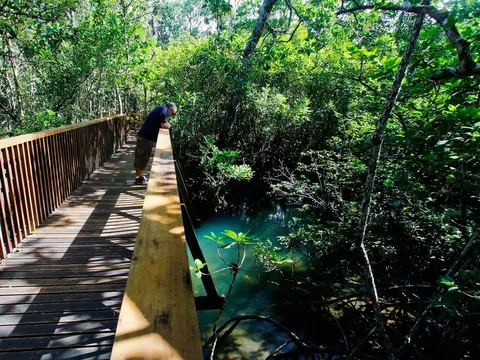 Madja Boardwalk Trail