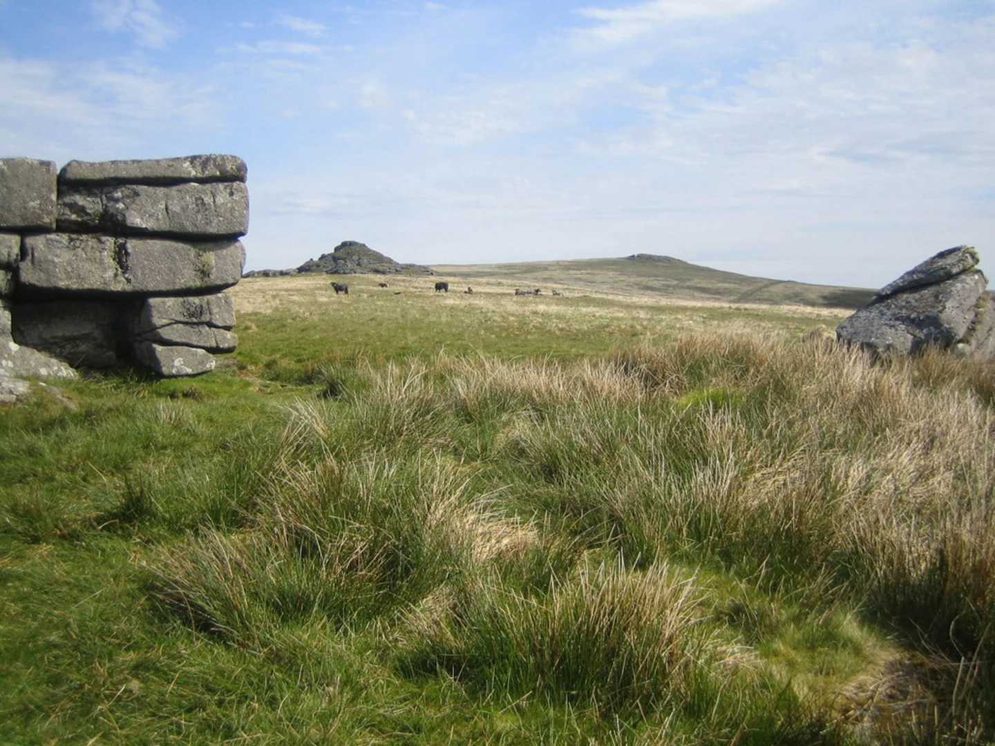 An image depicting the trail Higher White Tor and its surrounding area.