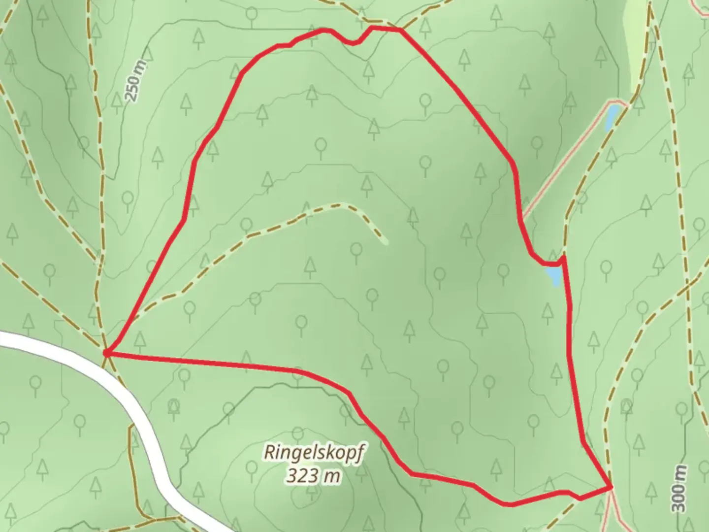An image depicting the trail Ringelskopf Loop and its surrounding area.