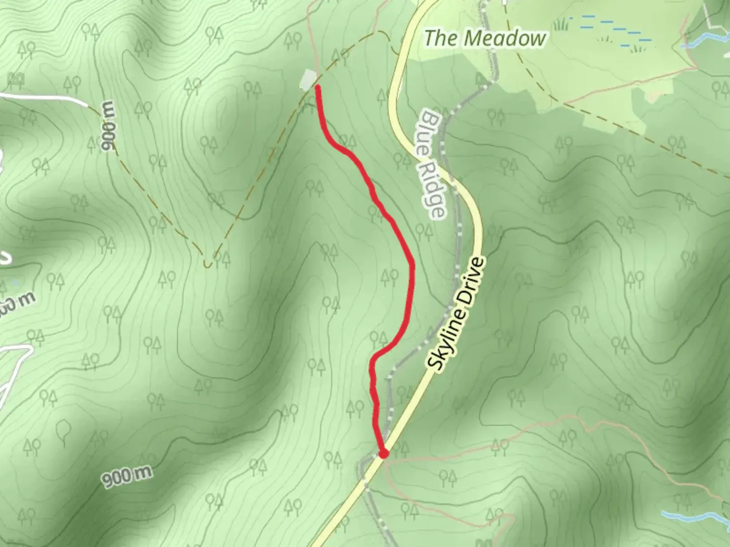 An image depicting the trail Appalachian Trail - Short from Milam Gap and its surrounding area.