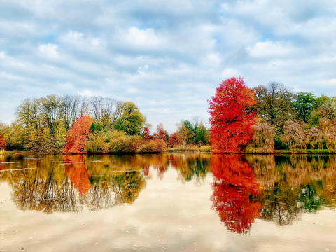 Ijsselmulden to Veerallee via Uiterwijkse Weg and Veecaterdijk