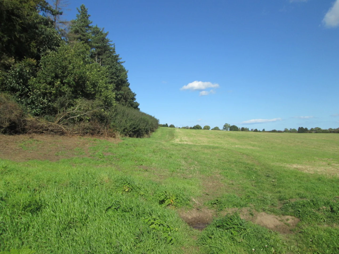 An image depicting the trail Hutton Lowcross Woods and Bousdale Wood Loop and its surrounding area.
