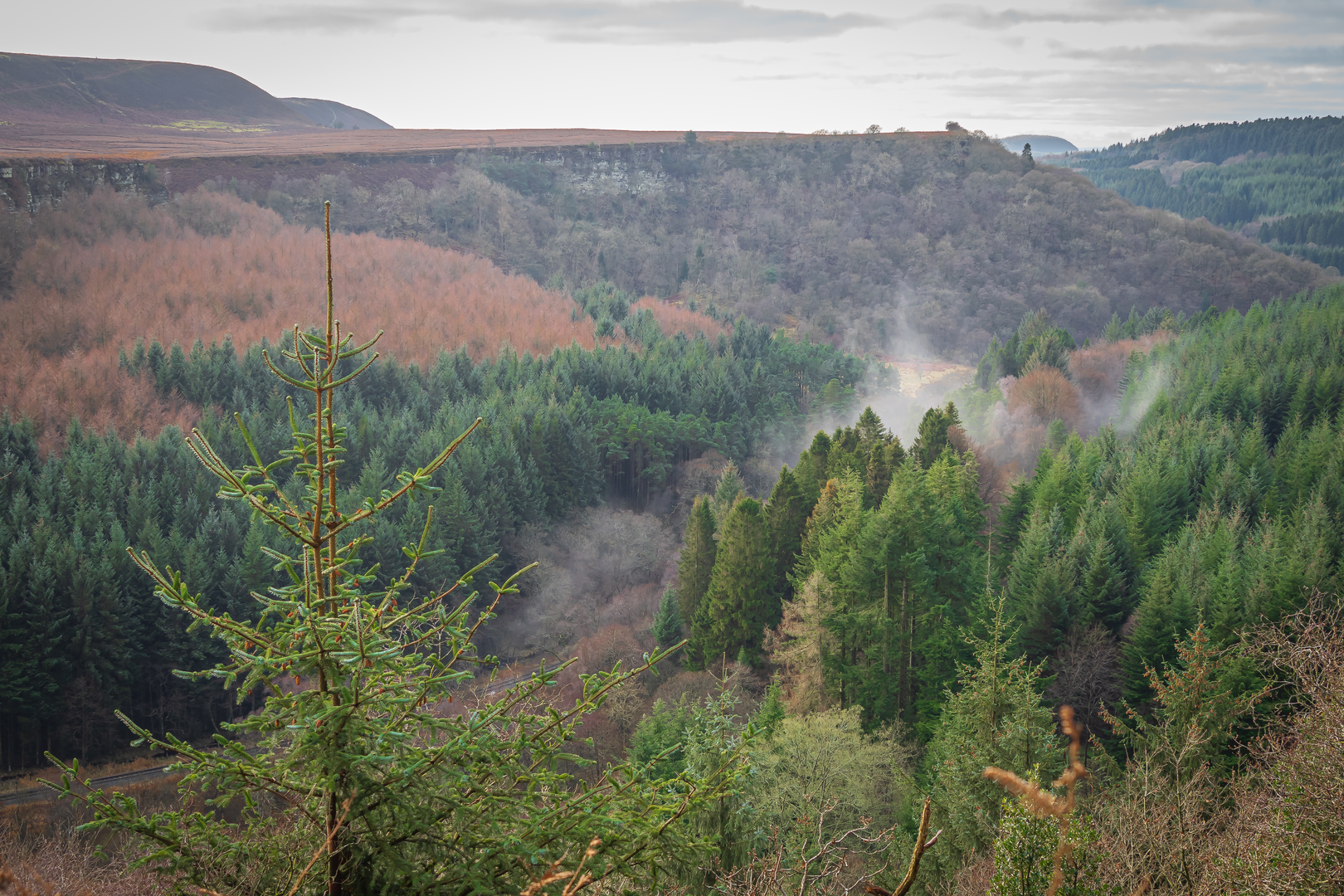 An image depicting the trail Newtondale Walk and its surrounding area.