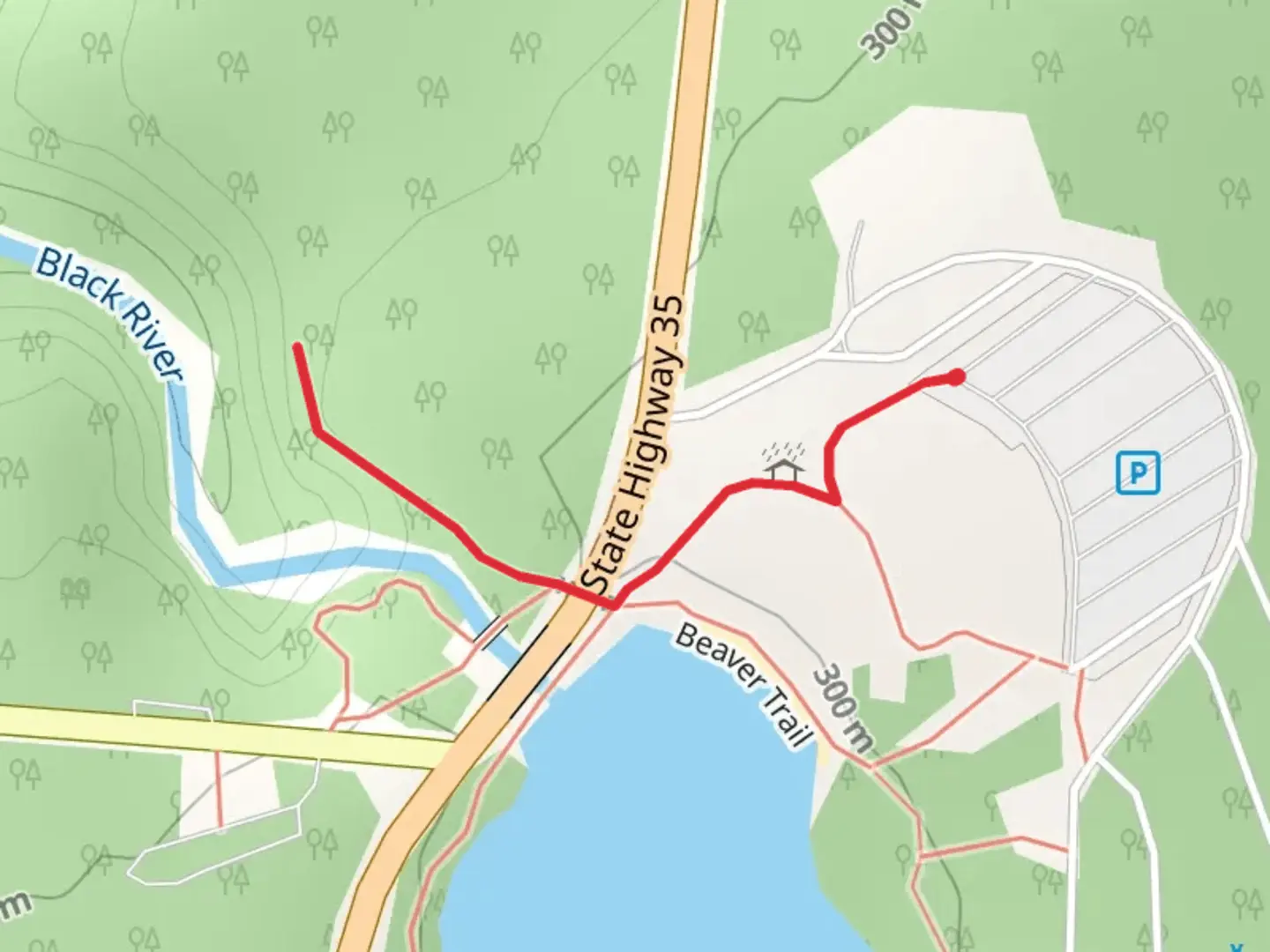 An image depicting the trail Black River and its surrounding area.