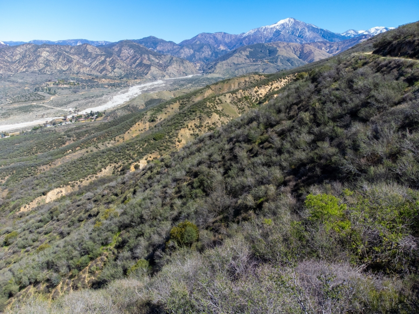 An image depicting the trail San Bernardino Peak Trail and its surrounding area.