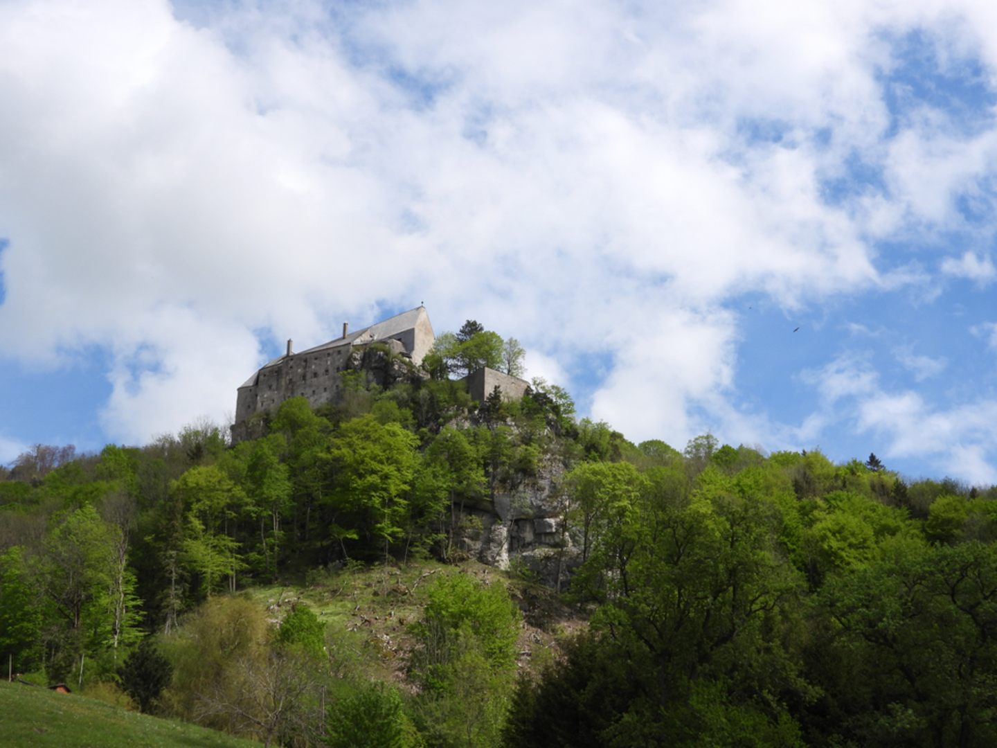 An image depicting the trail Grillenparz - Burg Altpernstein and its surrounding area.