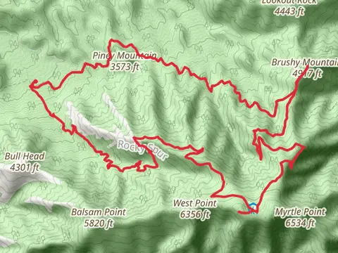 Brushy Mountain, Trillium Gap and Cliff Top Loop