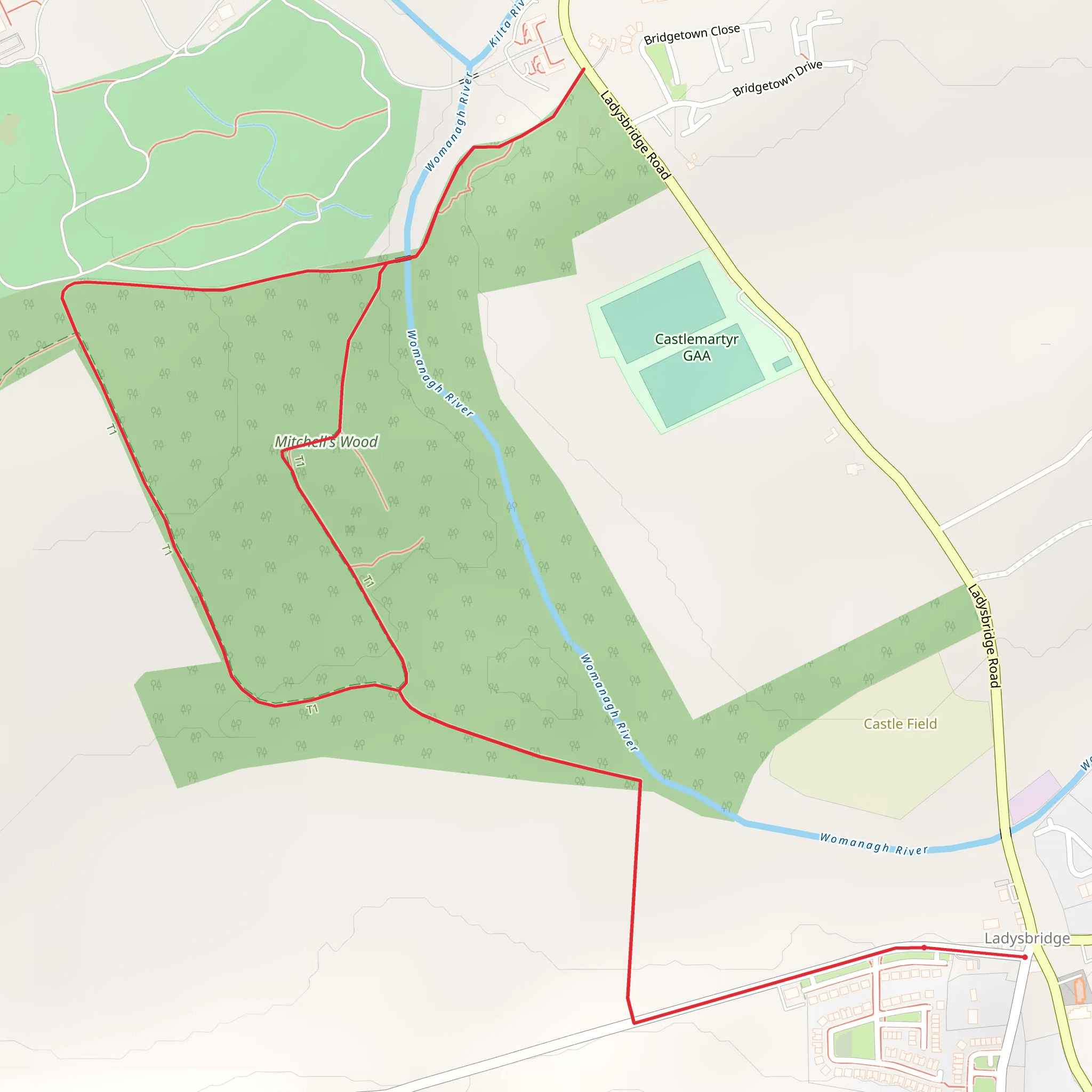Ladysbridge Loop Trail mobile static map